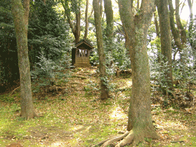 ���1����