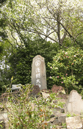 ���3����