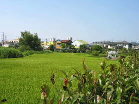 �����_�Ђ̎��ӕ��i