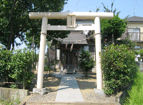 ��{�����_��