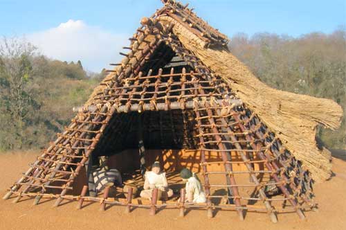 �Õ��������̒G���Z���͌^