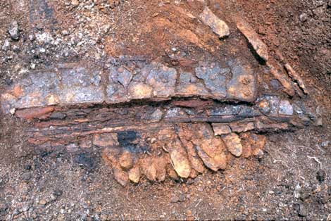 �ӂ낭���o��