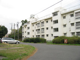 �R���R�Õ��Ւn