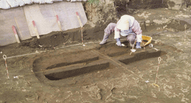 �؊�������