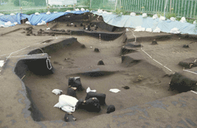 �G���Z����