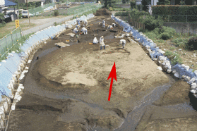 ���u���̎M���\