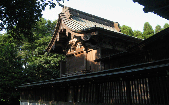 �����_�Ж{�a