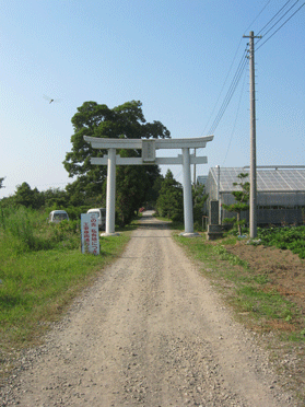 �����_�ЎQ��