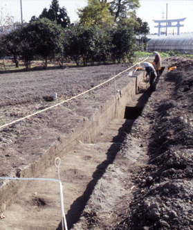 �퍑�����ȍ~�̓���