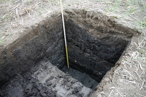 �e�ԕ��ؒn��@�N����E�n�_