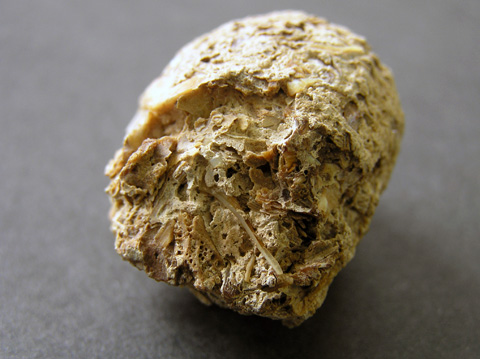 ���΂̊����