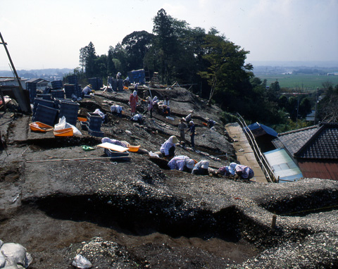 �ΖʊL�w�̒������i