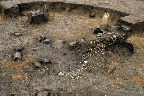 �Ζ_���o�y�����Z����