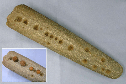 ���݂��t����ꂽ�Ζ_