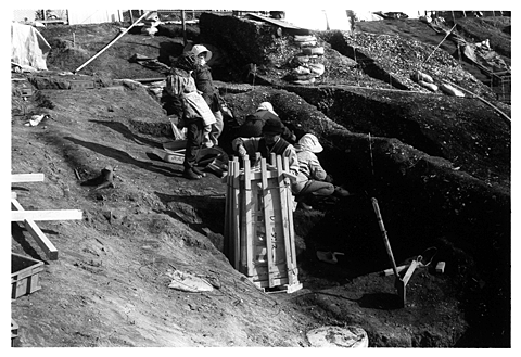 �ӊ��L�w�T���v���̍����