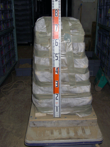 �ؘg������̊L�w�T���v��