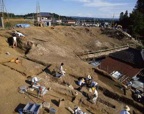 �ӊ��L�w�̒������i