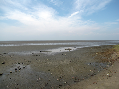 �؍X�Îs�ՏF����