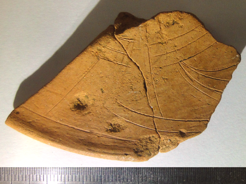 ���؏��J��Տo�y�L���y��