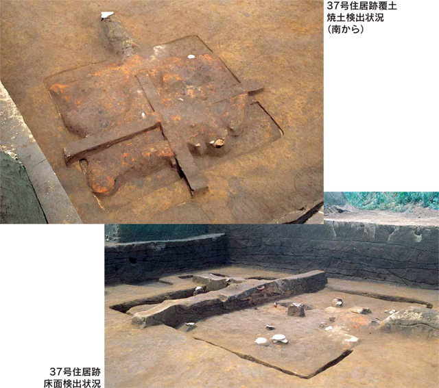 37����\�ʐ^