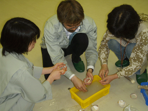 真剣な様子の博物館スタッフ