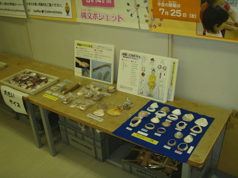 現生貝と貝輪復元品の展示