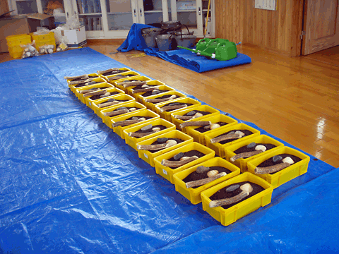 �p�ӂ����L�ւÂ���̓���