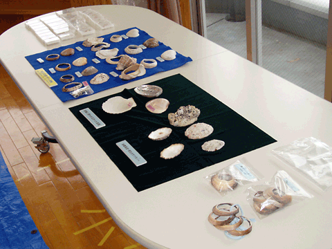 �L�ւ̕����i�⌻���L�W�{�̓W��