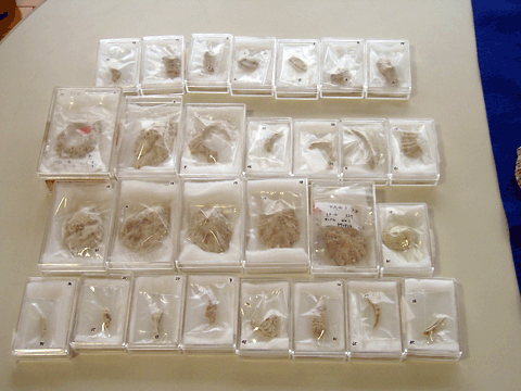 �u��������Ձv�o�y����