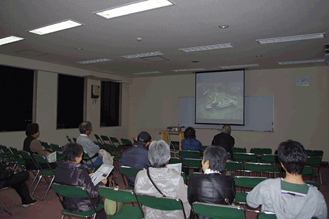 �f�����������̗l�q