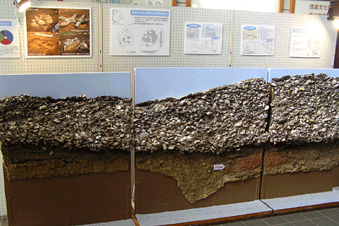 �ꕶ�����̊L�w�������f��