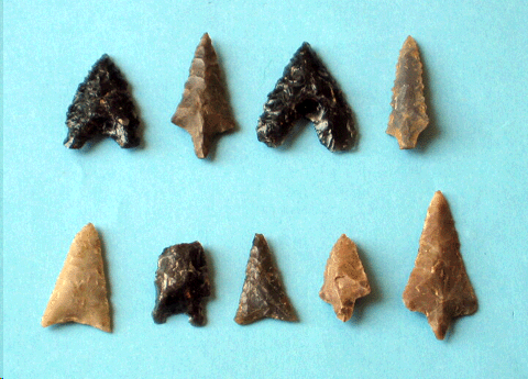 �ꕶ����̐��V