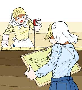 イラスト 実測作業