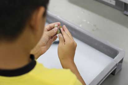 ���ʂÂ���@�d�グ