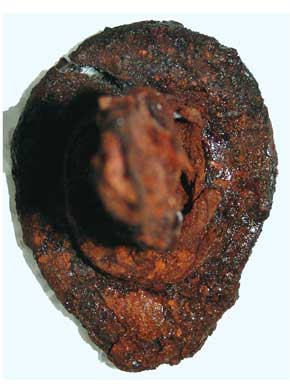 �品�� ����