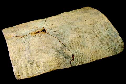 �㑍�����m���u���v��������